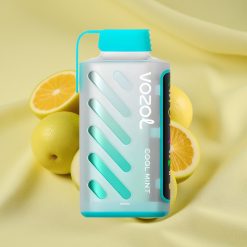 VOZOL Gear Power 20000 Puff Cool Mint Dual Mesh Coil 20mL vape wholesale Hungary