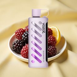 VOZOL Gear Shisha 25000 Puff Dual Mesh Blackberry Ice 5mg/ml vape wholesale Hungary