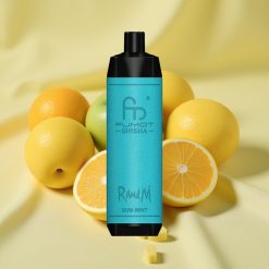 RandM Fumot Shisha 10000 Puff Gum Mint LED Mesh Coil Type-C vape wholesale Hungary