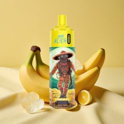 JNR Alien 10000 Puff Banana Ice 850mAh RGB LED Type-C vape wholesale Hungary