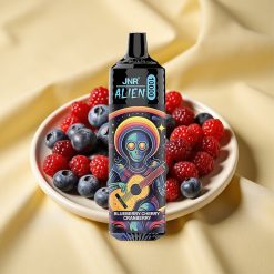 JNR Alien 10000 Puff Kékáfonya Cseresznye Áfonya 850mAh RGB LED Type-C