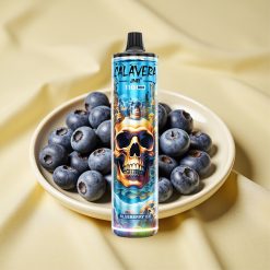 JNR Calavera 11000 Puffs Áfonya Jég Type-C 850 mAh 21ml 1.0ohm Mesh