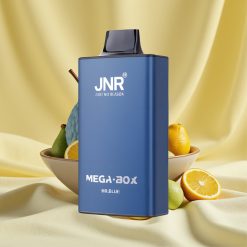 JNR Mega Box 25000 Puff Mr Blue Dual Mesh Coil Type-C vape wholesale Hungary
