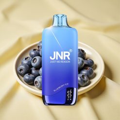 JNR Rainbow 10500 Puffs Kékáfonya Jég 600mAh Mesh Coil vape wholesale Hungary