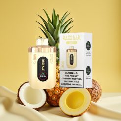 Razz Bar 50K Puffs Ananász Kókusz 1.0 Ohm Mesh Coil Type-C vape wholesale Hungary