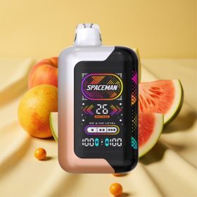 SMOK Spaceman SP40000 40000 Puff Juicy Peach Watermelon 0% Nikotin 1000mAh